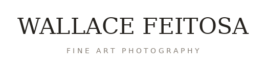 Wallace Feitosa — Fine Art Photography