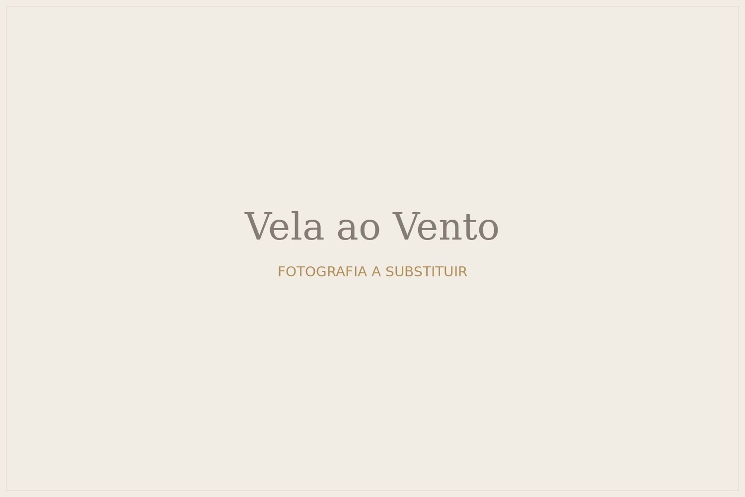 Vela ao Vento