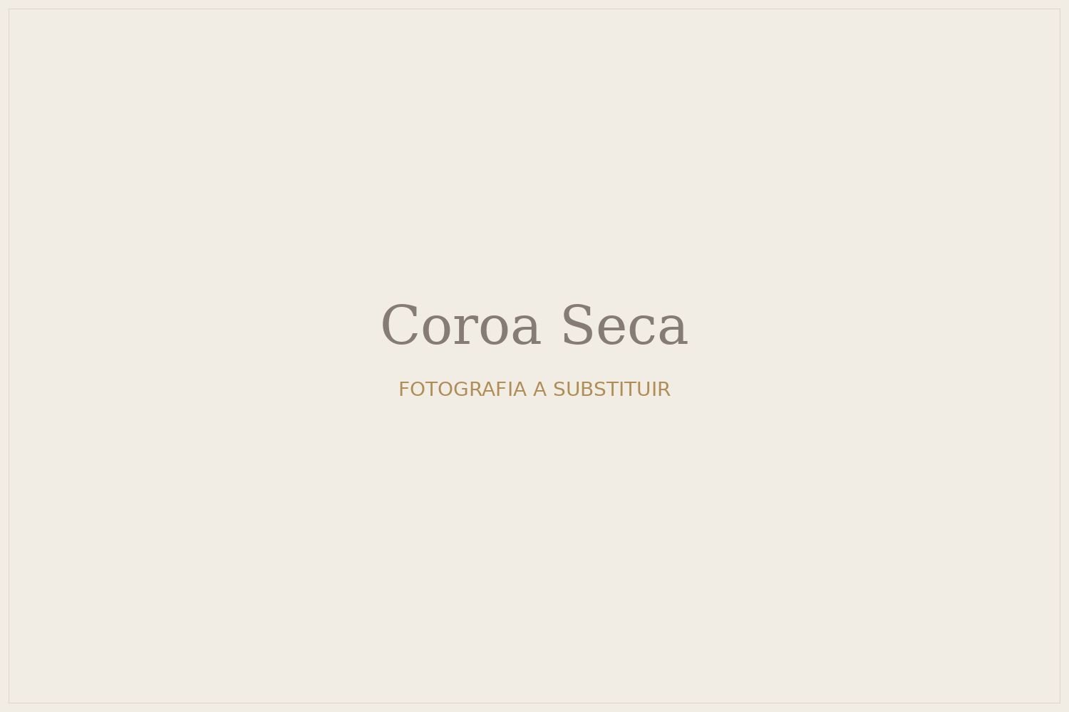 Coroa Seca